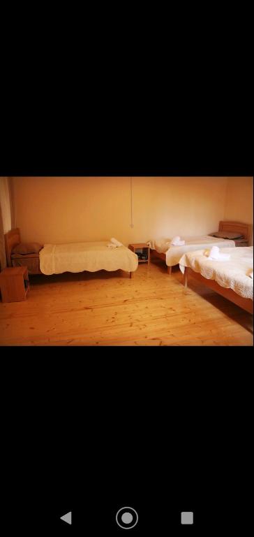 Mushkudiani Manor room 5